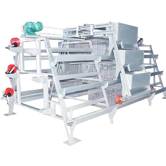 A Type Pullet Chicken Cage