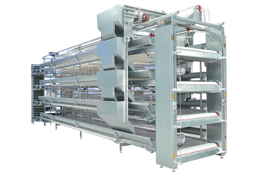 H Type Layer Chicken Cage